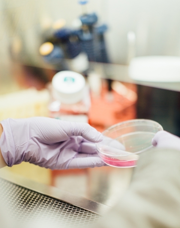 gloved hands holding a medical sample